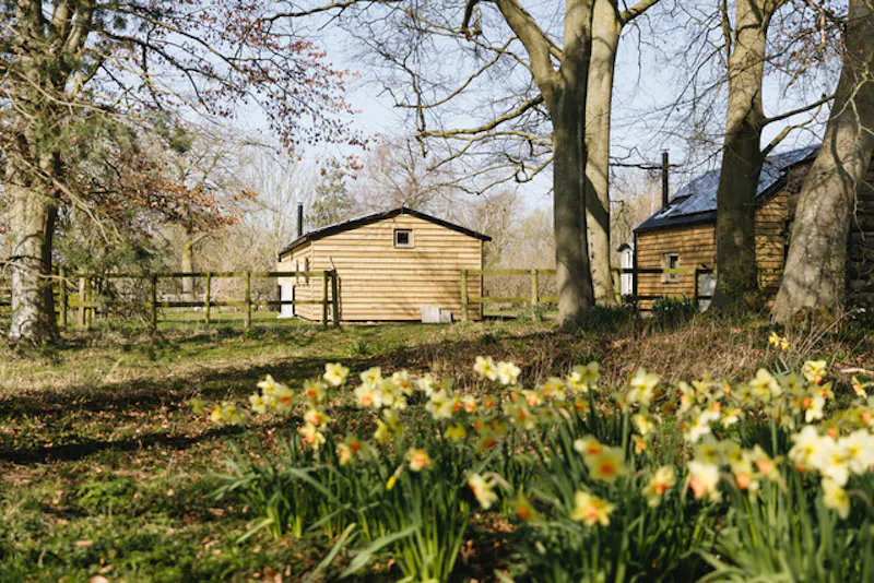 Versatile farm in Wallingford, L716 (photo 26)