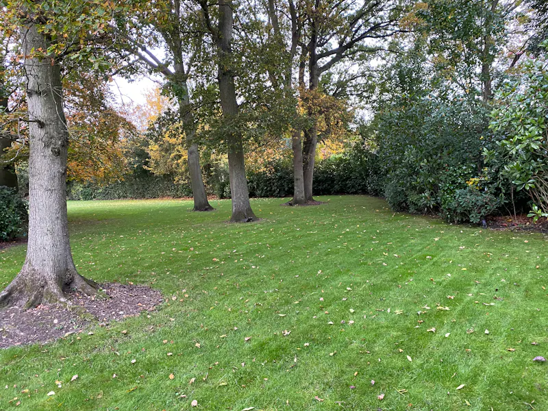 Woodland at Beaconsfield country manor, D2707 (photo 27)