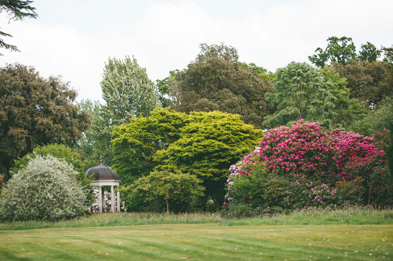 Garden - wild at South Downs Regency house, A1160 (photo 31)