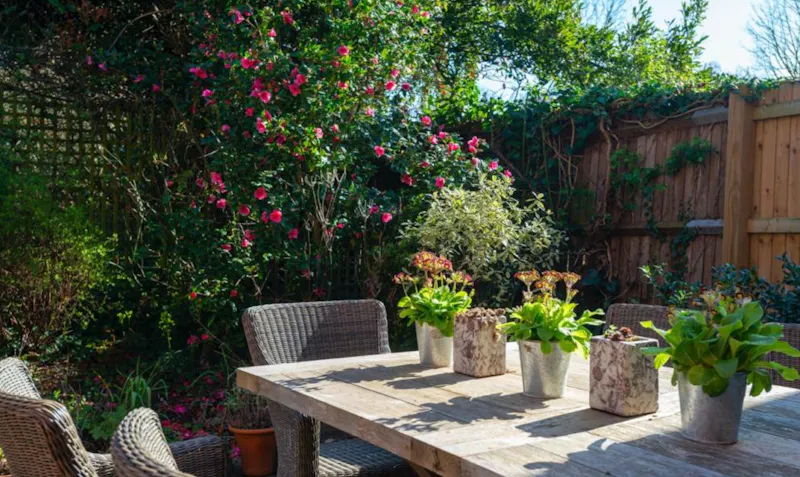 Lovely Ealing family house, B1423 (photo 43)
