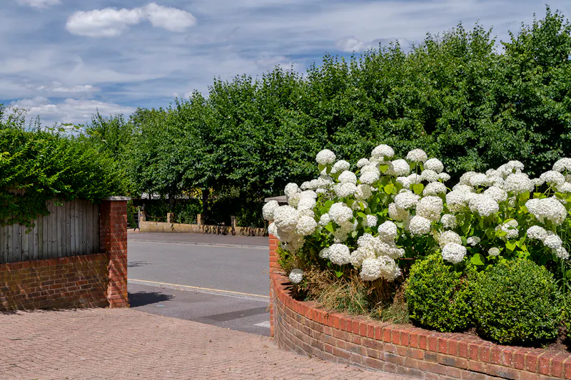 Surbiton Pool House, D2337 (photo 82)