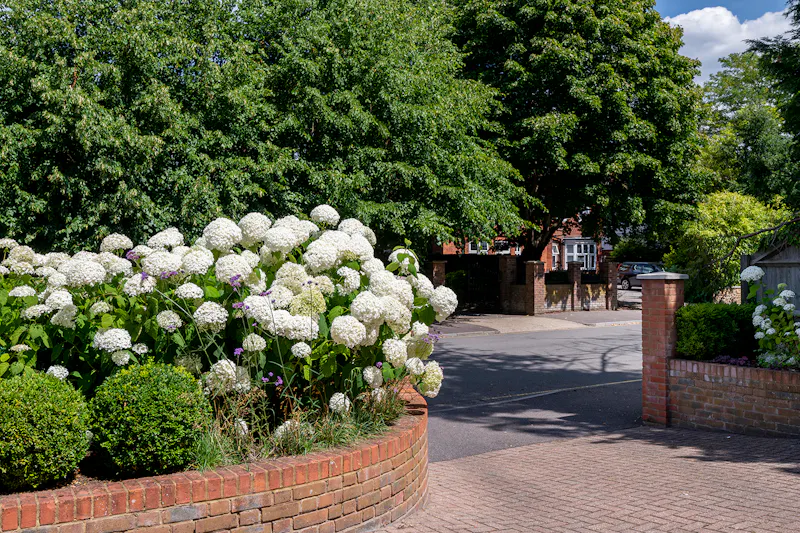 Surbiton Pool House, D2337 (photo 81)