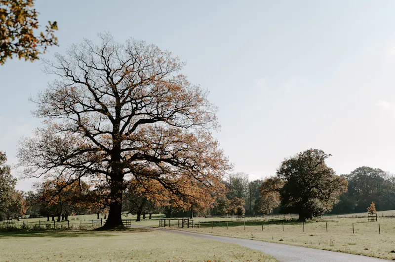 Extensive Reading estate , A958 (photo 26)