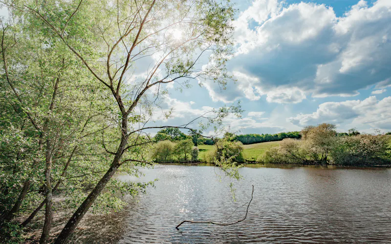 Extensive Reading estate , A958 (photo 14)
