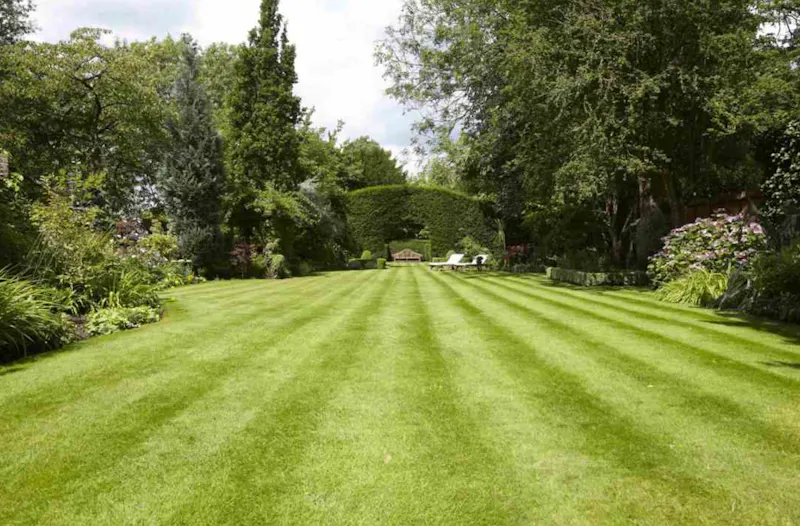 Garden - formal at Southgate Georgian house, A1235 (photo 27)