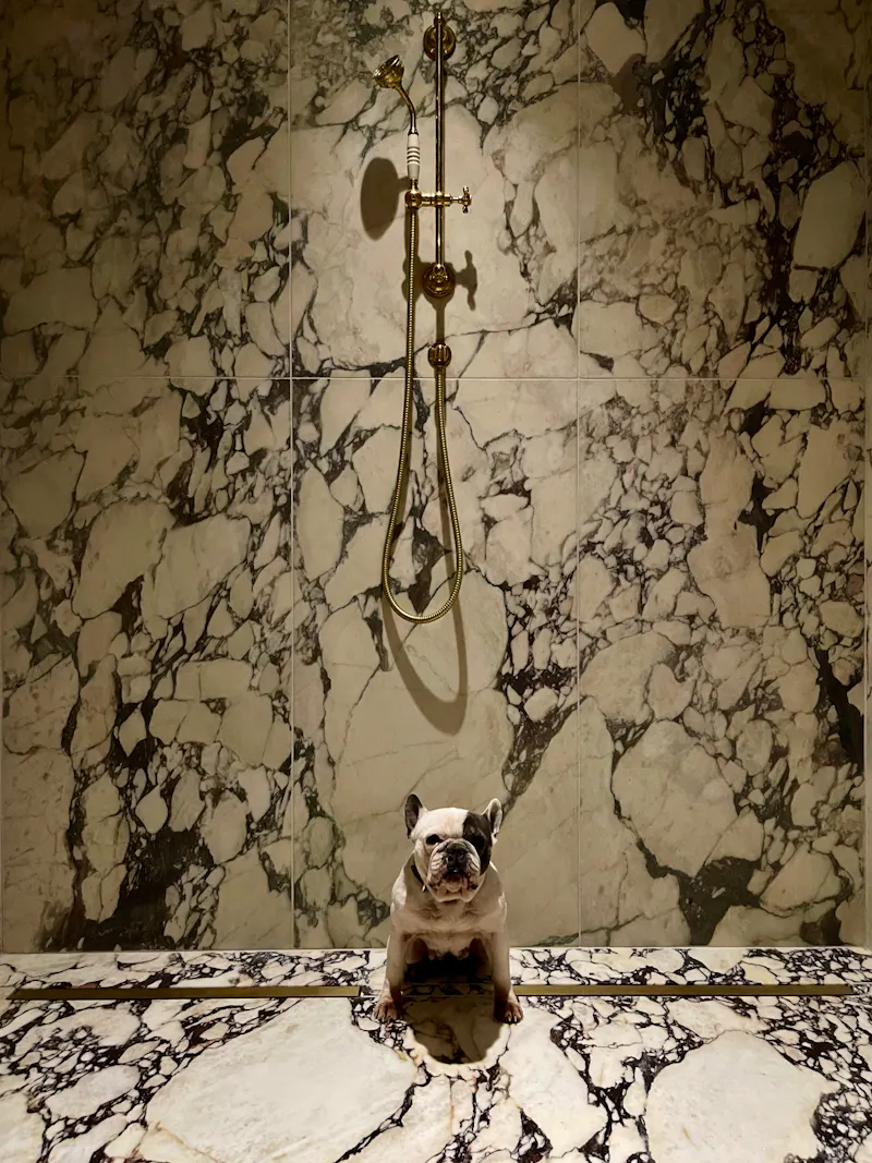 Shower at Converted monastery in Rye, CH105 (photo 36)