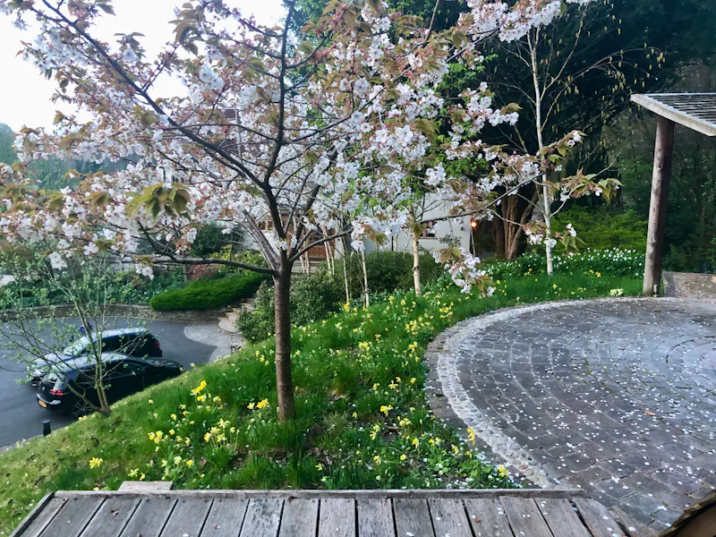 Magical Marlow River House, E516 (photo 52)