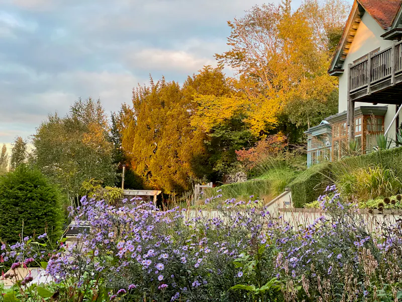 Garden at Magical Marlow River House, E516 (photo 56)