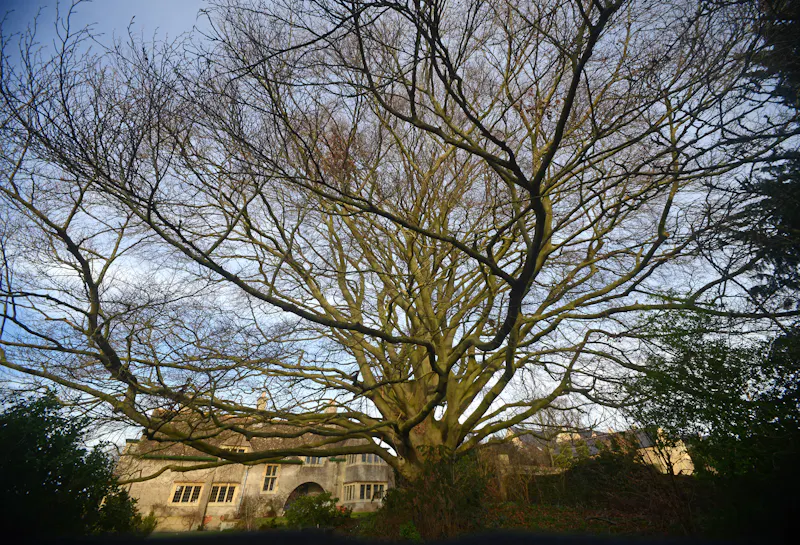 Voysey house near Peterborough, E515 (photo 41)