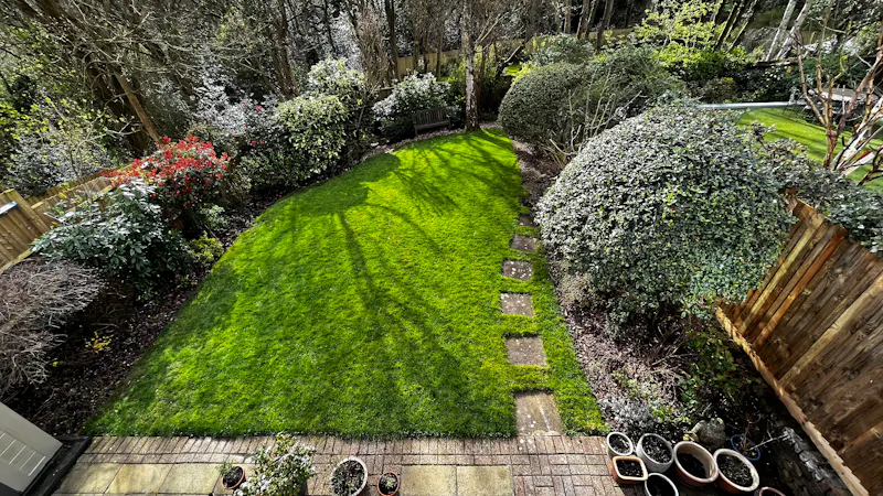 Garden at Mill Hill Cul-de-sac house, D2718 (photo 34)
