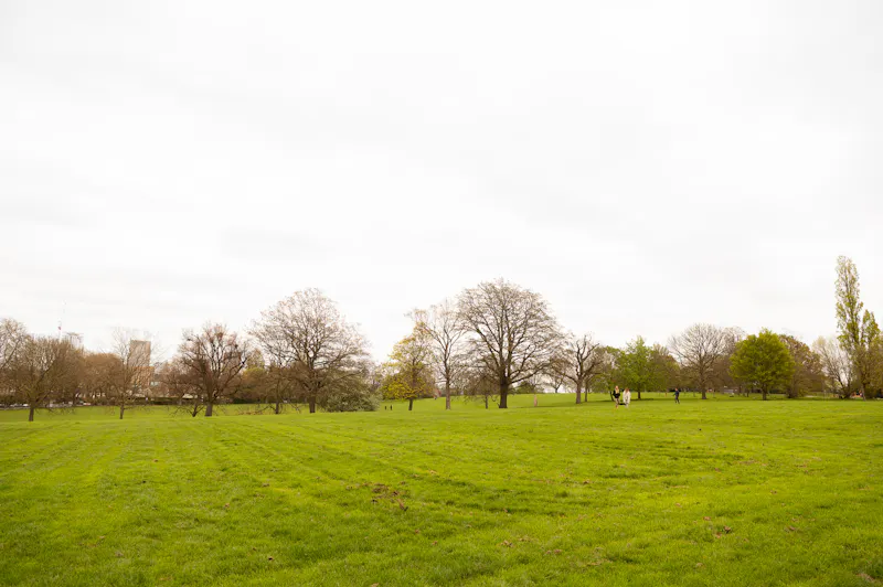Quirky Brockley Terrace, B2021 (photo 81)