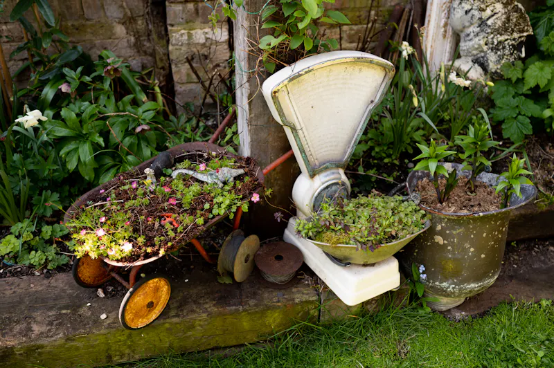 Quirky Brockley Terrace, B2021 (photo 67)