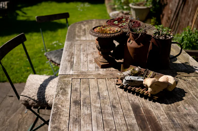 Quirky Brockley Terrace, B2021 (photo 62)