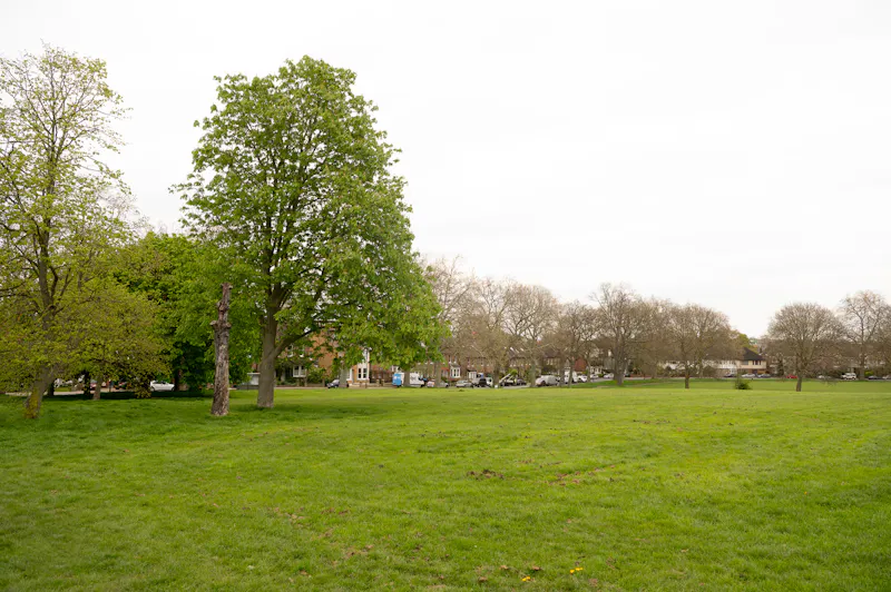 Quirky Brockley Terrace, B2021 (photo 80)