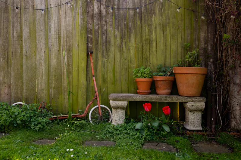 Quirky Brockley Terrace, B2021 (photo 71)
