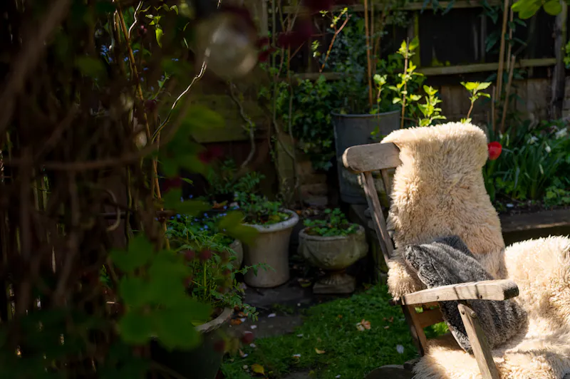 Quirky Brockley Terrace, B2021 (photo 69)