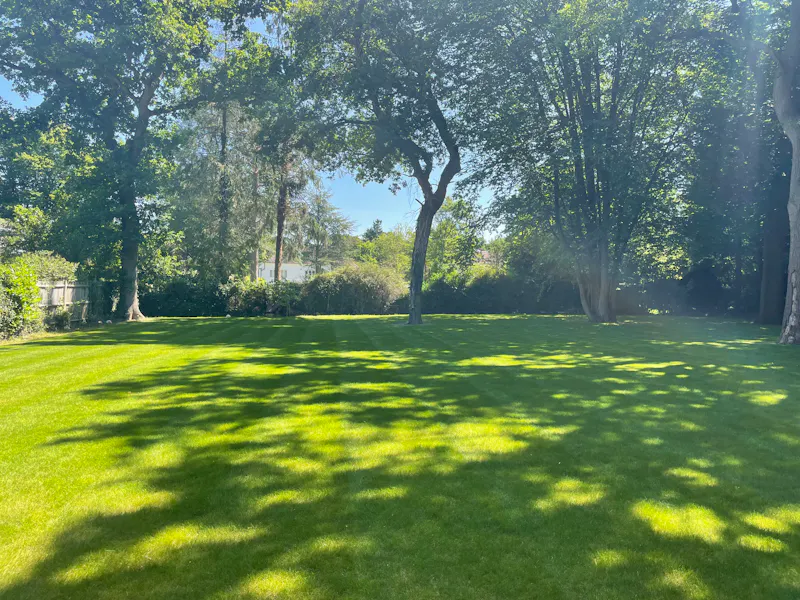 Northwood Mansion, E497 (photo 69)