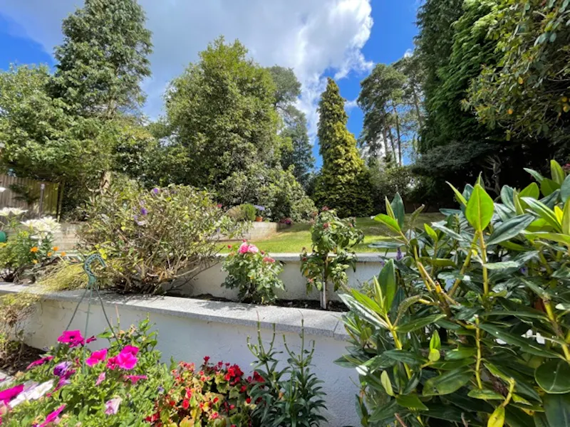Garden at Modern 4 bed house Camberley, D2723 (photo 29)