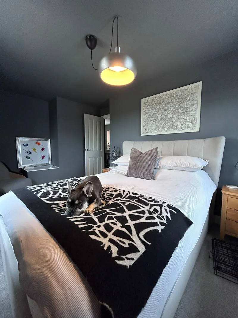 Harlow modern family home, D2725 (photo 18)
