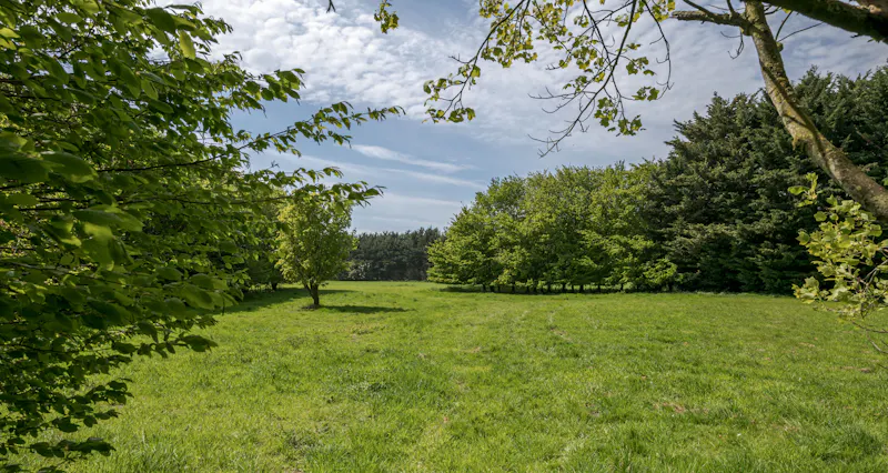 Kings Lynn Medieval manor, M358 (photo 62)