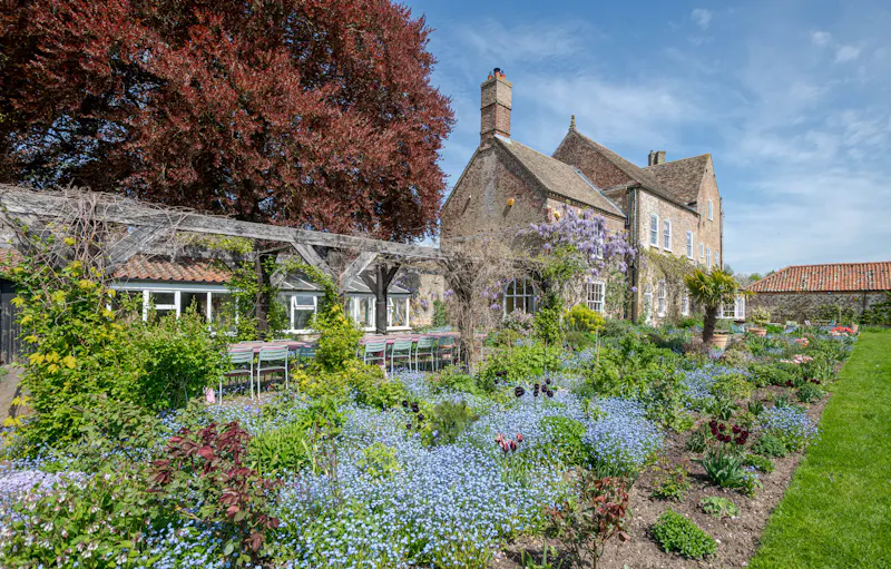 Garden - wild at Kings Lynn Medieval manor, M358 (photo 51)