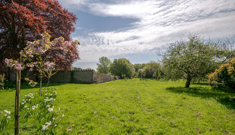 Garden at Kings Lynn Medieval manor, M358 (photo 61)