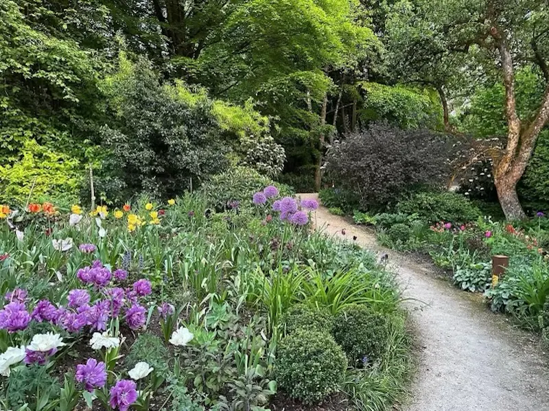 Garden - wild at Enchanting Wiltshire Cottage, C940 (photo 33)