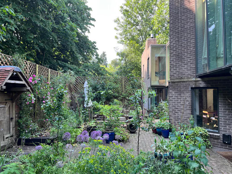 Garden - wild at Hampstead Heath RIBA house, K487 (photo 2)