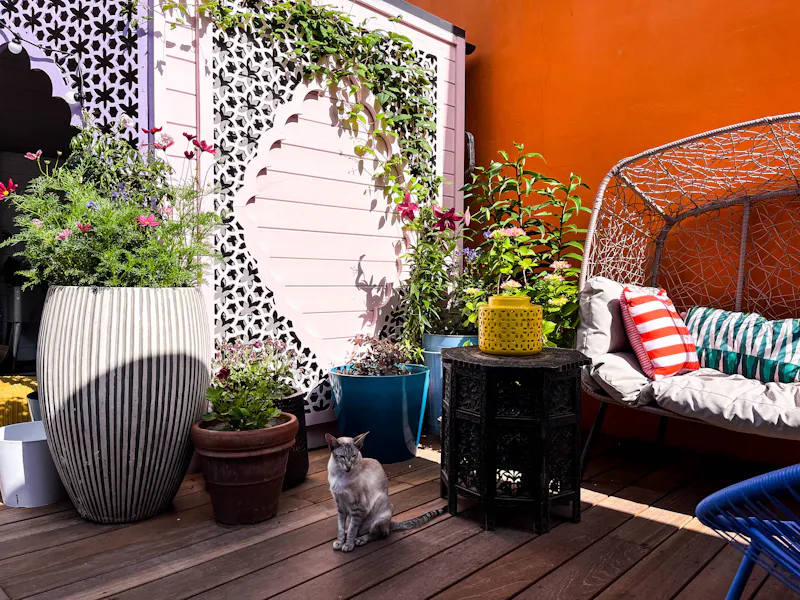 Colourful Catford Villa, B2025 (photo 62)