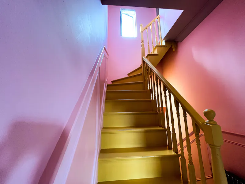 Colourful Catford Villa, B2025 (photo 49)
