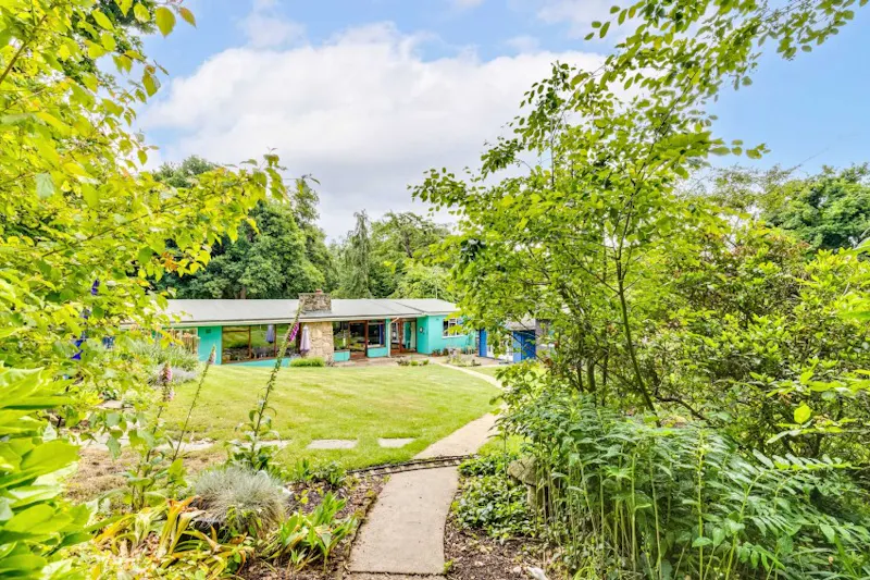 Garden - wild at 1960's Welwyn Bungalow, D2729 (photo 24)
