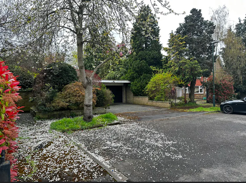 Cul-de-sac Richmond home, D2736 (photo 29)