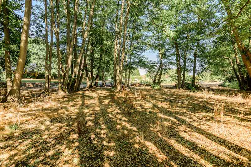 Picturesque Woking cottage, C939 (photo 44)