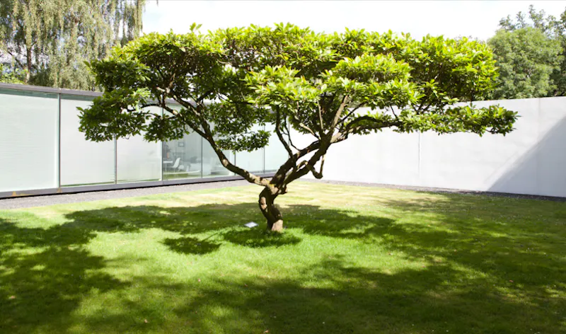 Iconic Skywood House, D1140 (photo 22)