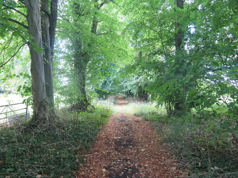 Pangbourne Thameside estate , M130 (photo 28)