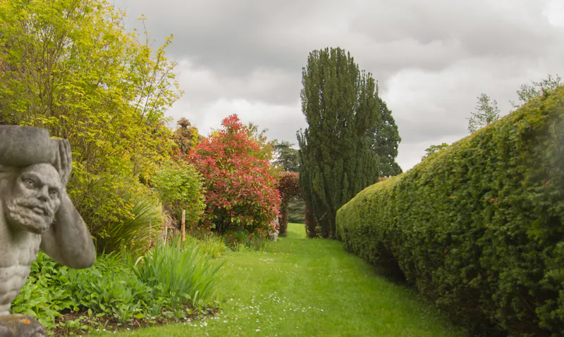 Garden at Pangbourne Thameside estate , M130 (photo 25)