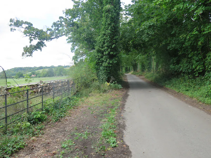 Driveway at Pangbourne Thameside estate , M130 (photo 56)