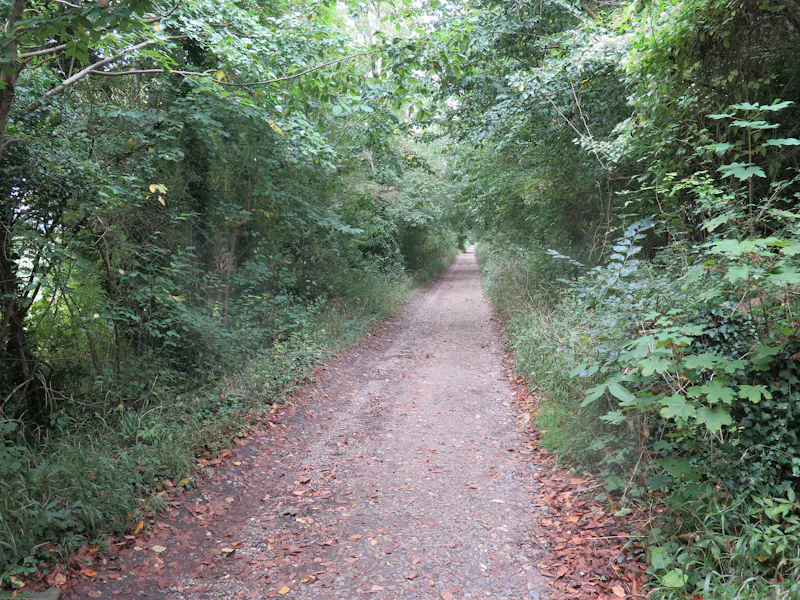 Driveway at Pangbourne Thameside estate , M130 (photo 60)