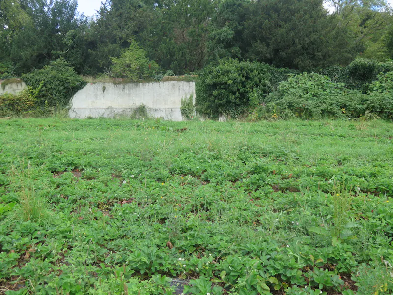 Pangbourne Thameside estate , M130 (photo 84)