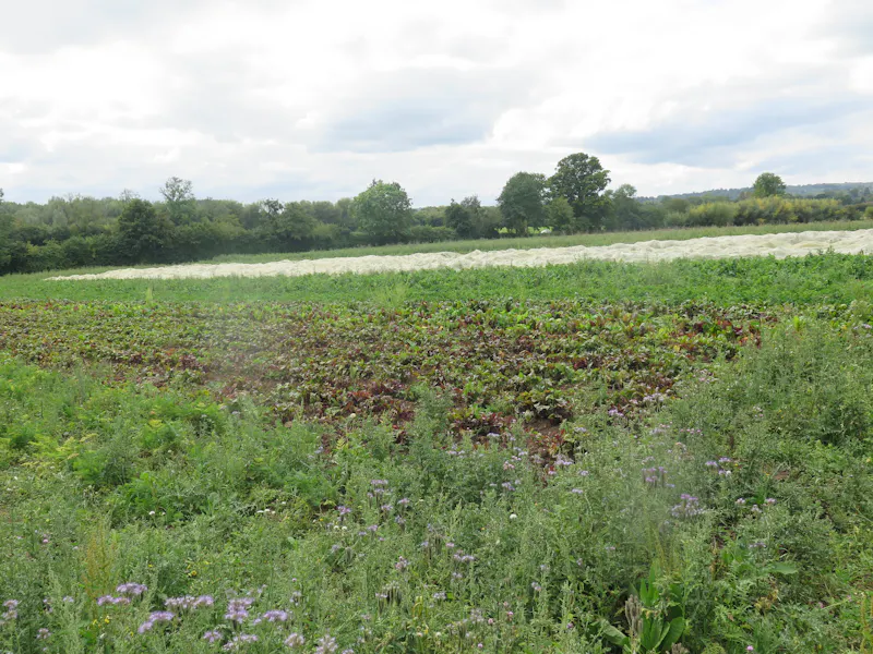 Pangbourne Thameside estate , M130 (photo 82)