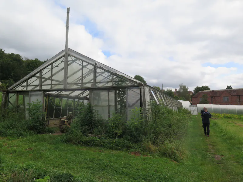 Greenhouse at Pangbourne Thameside estate , M130 (photo 64)