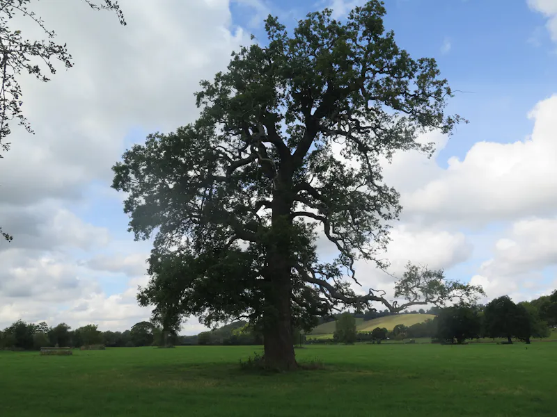 Pangbourne Thameside estate , M130 (photo 90)