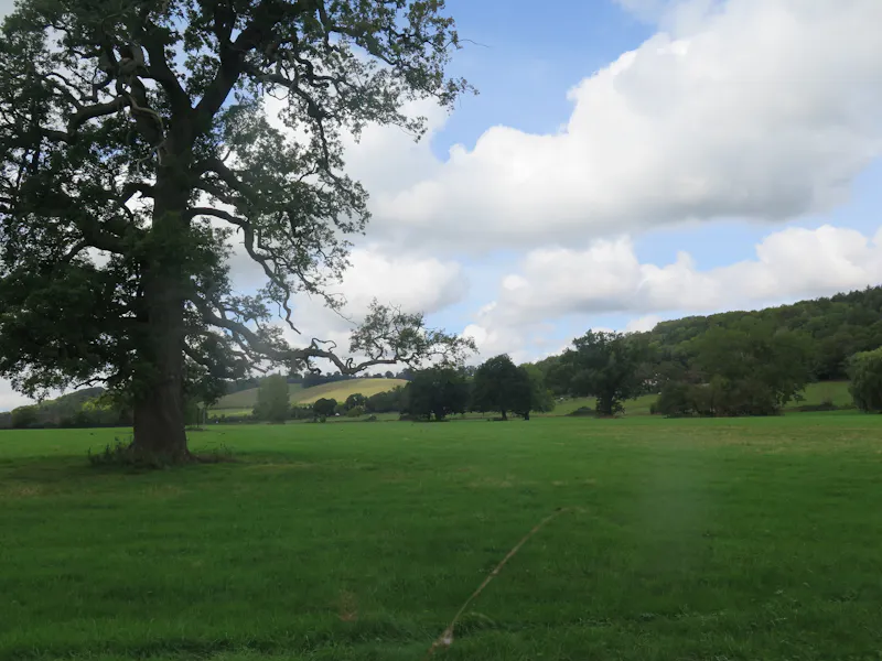 Views - country at Pangbourne Thameside estate , M130 (photo 89)