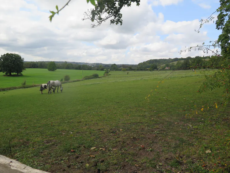 Views - country at Pangbourne Thameside estate , M130 (photo 97)
