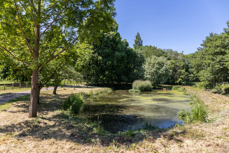 Pond at Stunning Yorkshire Queen Anne, A1616 (photo 50)