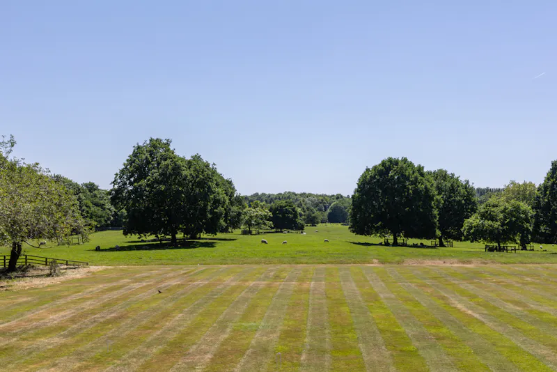 Garden at Stunning Yorkshire Queen Anne, A1616 (photo 47)