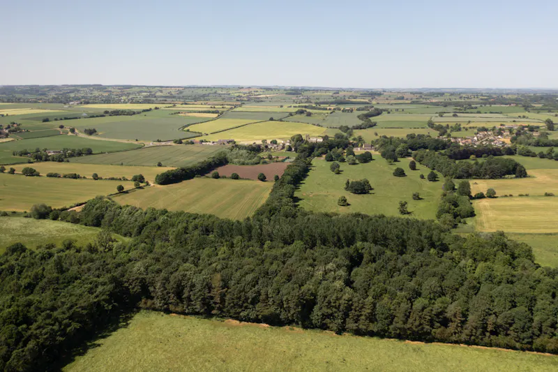 Stunning Yorkshire Queen Anne, A1616 (photo 88)