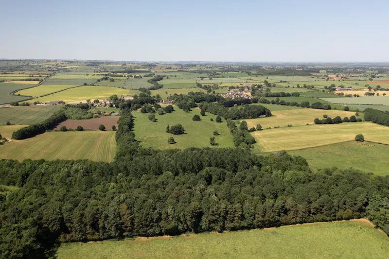 Stunning Yorkshire Queen Anne, A1616 (photo 89)