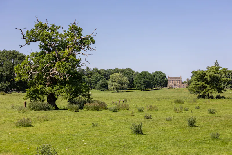 Stunning Yorkshire Queen Anne, A1616 (photo 63)