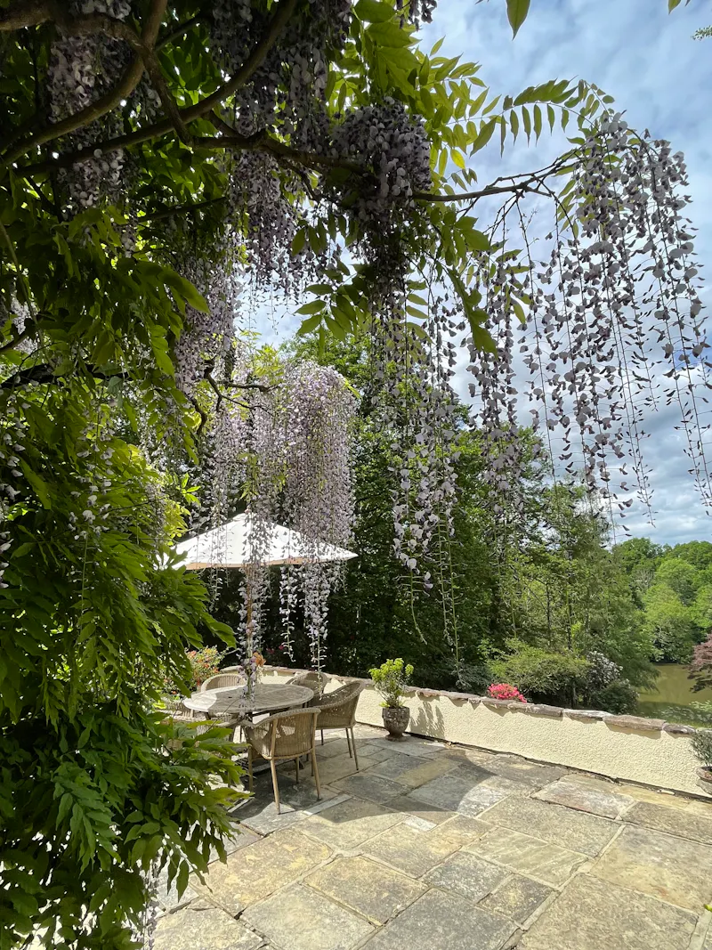 Terrace/Patio at Mediterranean Dorking villa, D2742 (photo 42)